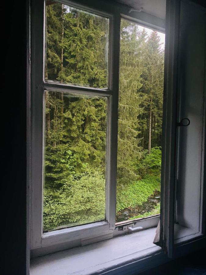Penzion Lesni Zatisi- Harrachov Exteriör bild