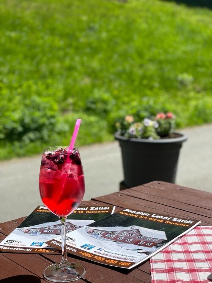 Penzion Lesni Zatisi- Harrachov Exteriör bild