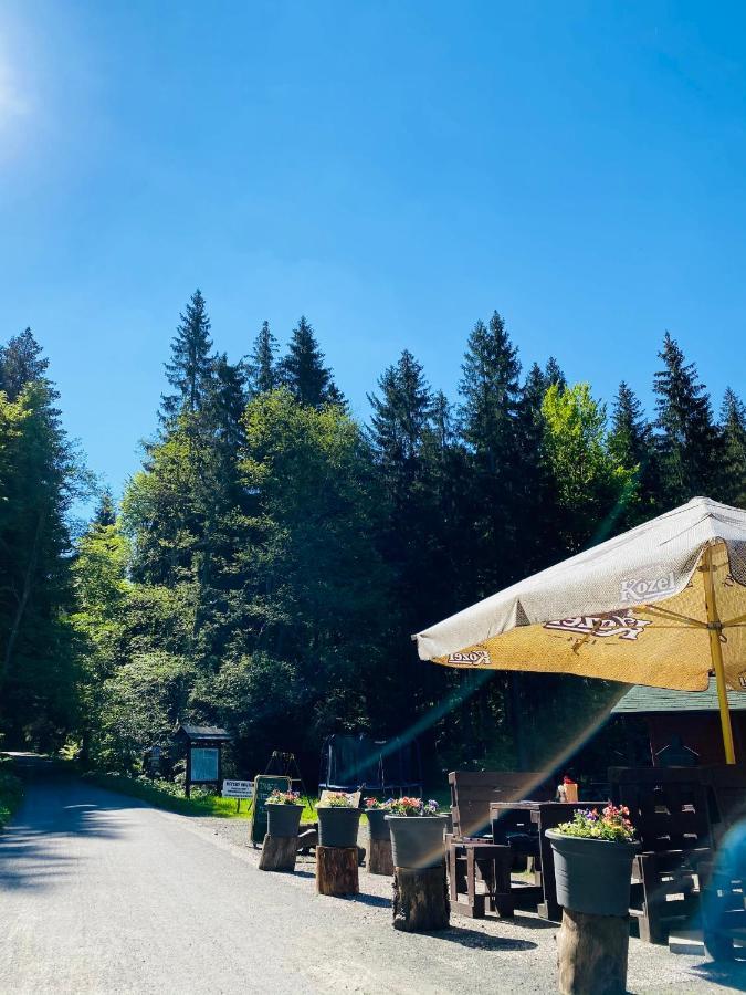Penzion Lesni Zatisi- Harrachov Exteriör bild