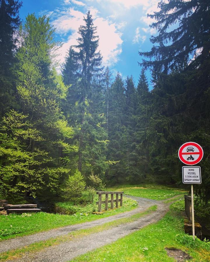 Penzion Lesni Zatisi- Harrachov Exteriör bild