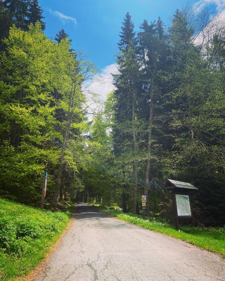 Penzion Lesni Zatisi- Harrachov Exteriör bild