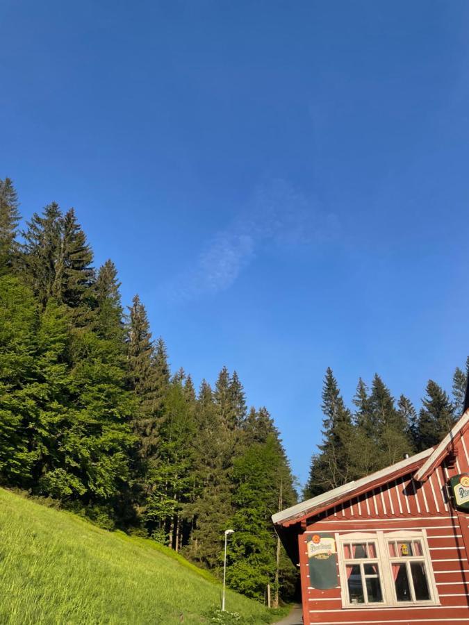 Penzion Lesni Zatisi- Harrachov Exteriör bild