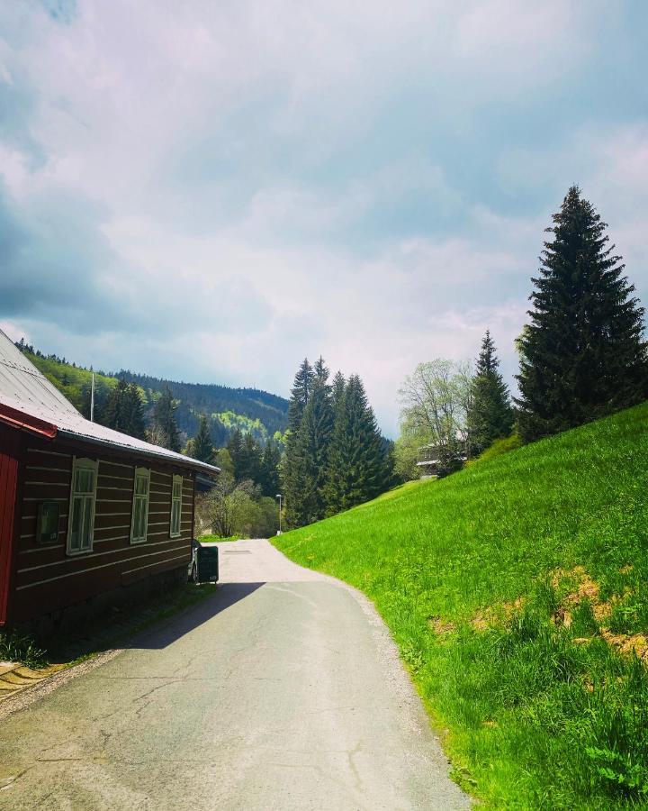 Penzion Lesni Zatisi- Harrachov Exteriör bild