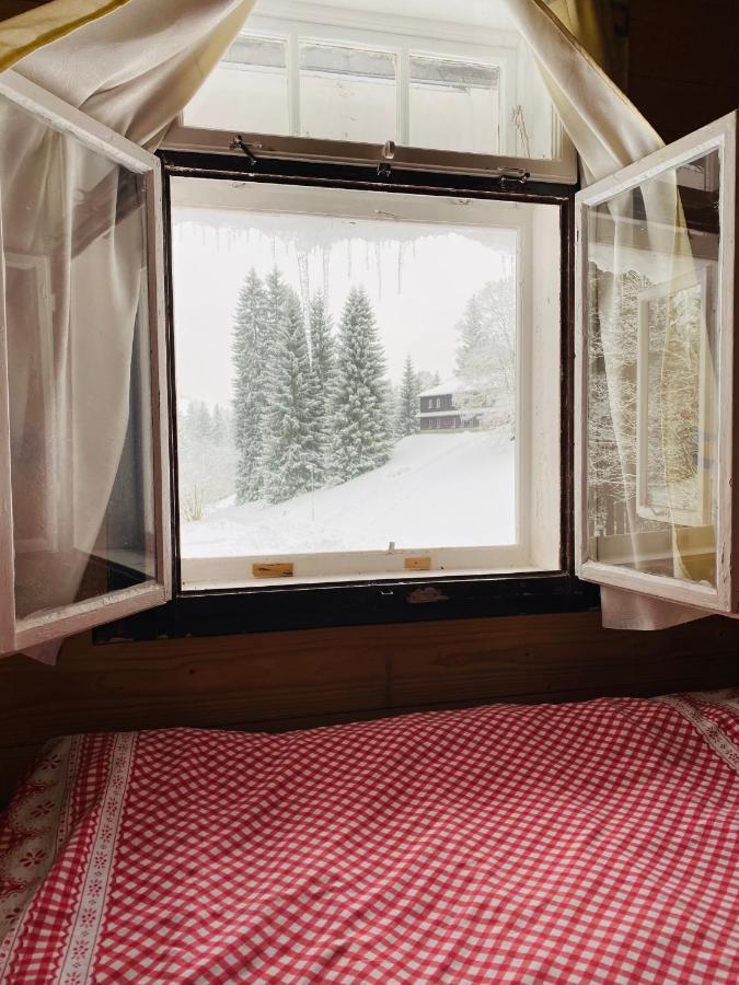 Penzion Lesni Zatisi- Harrachov Exteriör bild