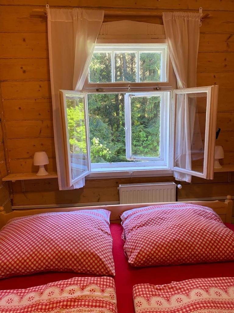 Penzion Lesni Zatisi- Harrachov Exteriör bild